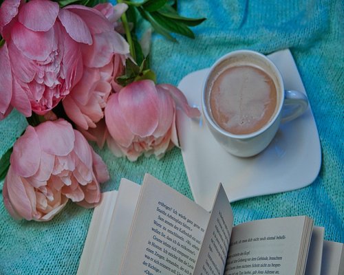 Membaca buku santai di sofa